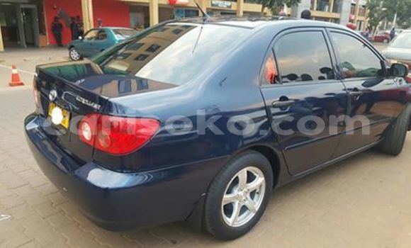 Buy Used Toyota Corolla Blue Car in Kigali in Rwanda Buy Used Toyota Corolla Blue Car in Kigali in Rwanda