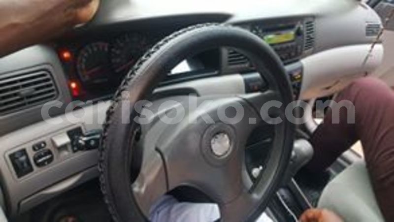 Big with watermark 67090577 234824247495160 6666995390467801088 n