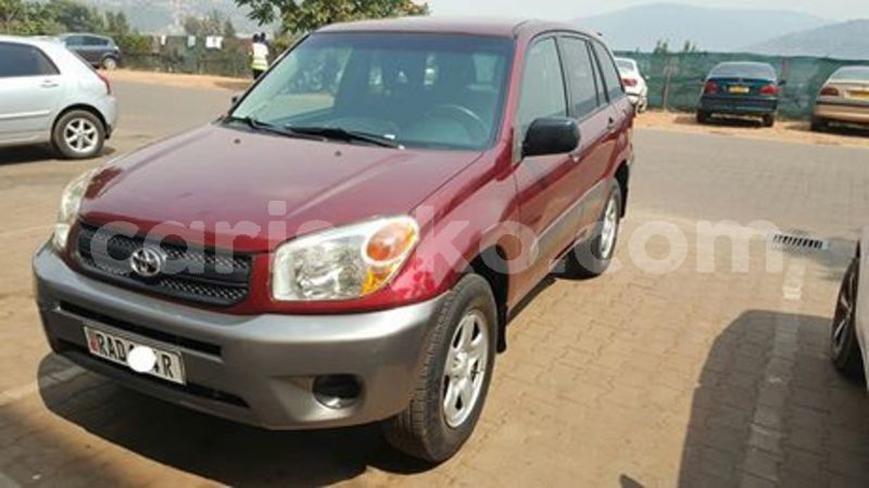 Big with watermark 67444203 234171980893720 6264216716113346560 n