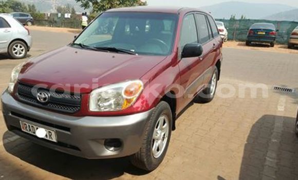 Buy Used Toyota RAV4 Red Car in Kigali in Rwanda Buy Used Toyota RAV4 Red Car in Kigali in Rwanda