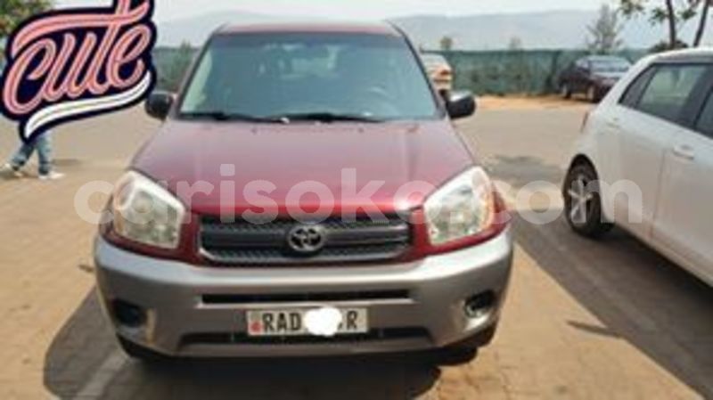 Big with watermark 67412325 234172027560382 360369690532380672 n