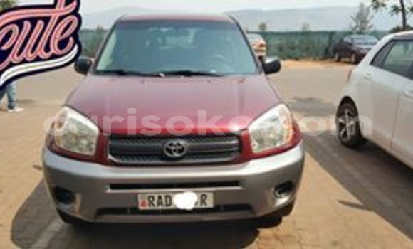 Buy Used Toyota RAV4 Red Car in Kigali in Rwanda Buy Used Toyota RAV4 Red Car in Kigali in Rwanda
