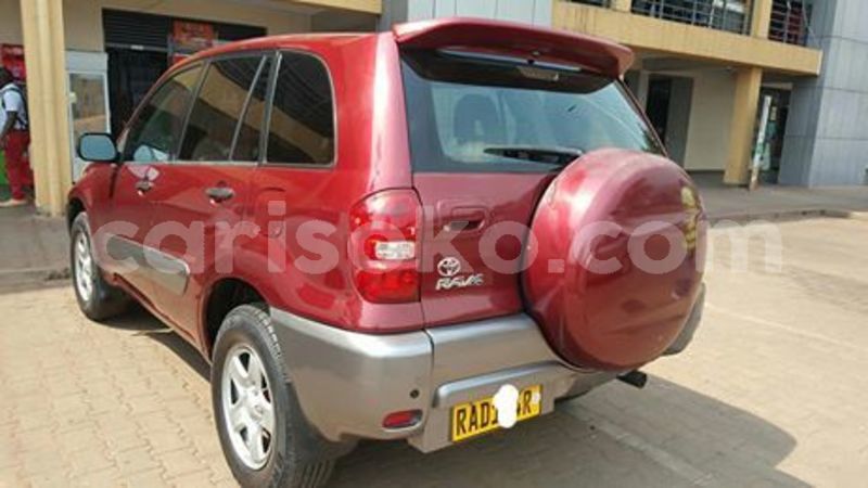 Big with watermark 67057761 234172004227051 4643234808074338304 n