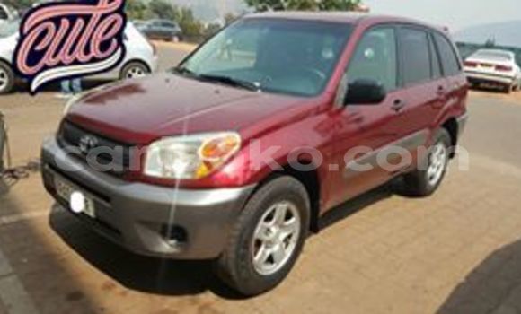 Buy Used Toyota RAV4 Red Car in Kigali in Rwanda Buy Used Toyota RAV4 Red Car in Kigali in Rwanda