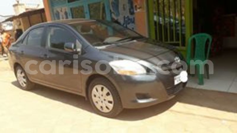 Big with watermark 67185609 234150140895904 2517300144869736448 n