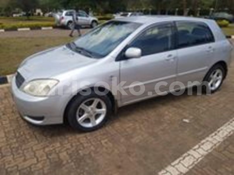 Big with watermark 67270710 234004720910446 2163768471769317376 n