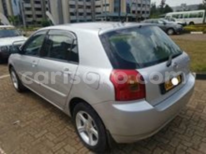 Big with watermark 67455826 234004747577110 7151517493012463616 n