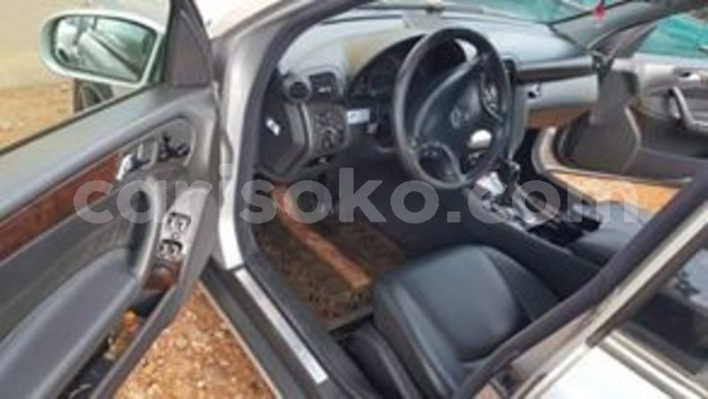 Big with watermark 67570109 233986120912306 3725719275550277632 n