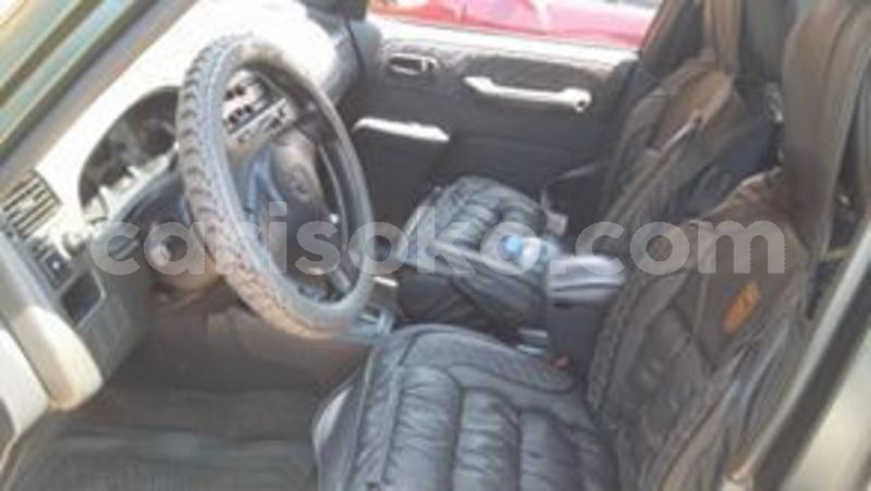 Big with watermark 67072091 233520020958916 5932844986906181632 n