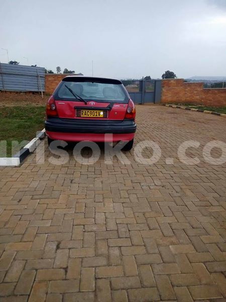 Big with watermark 29512260 10215792680948994 4932787965747484039 n