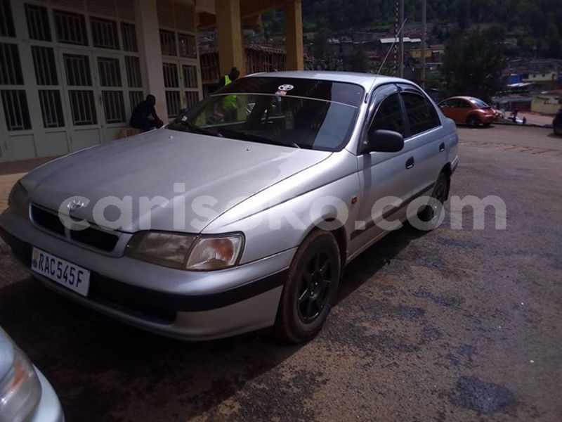 Big with watermark 29472064 10215759292914314 5474723520049053696 n