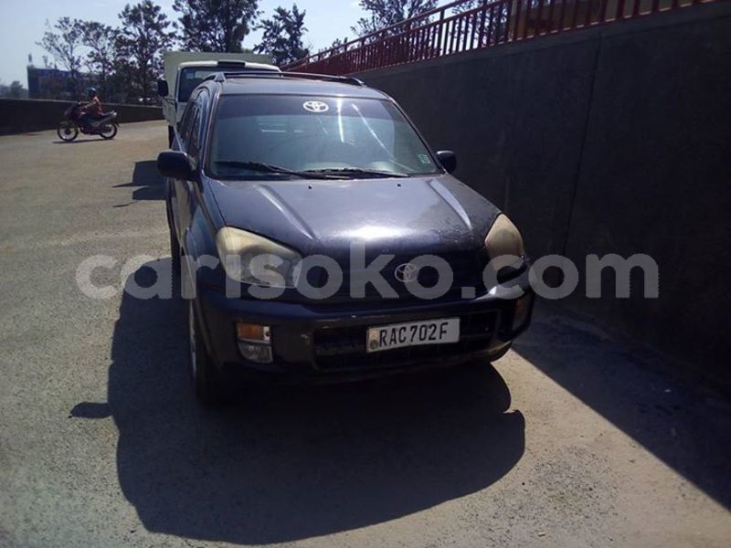 Big with watermark 29512260 10215793590051721 8042323241122336774 n