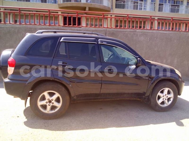 Big with watermark 29511954 10215793588811690 437148896976415523 n