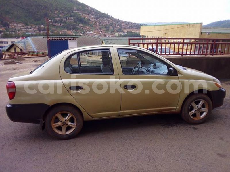 Big with watermark 29495811 10215759483999091 1741644216741658624 n