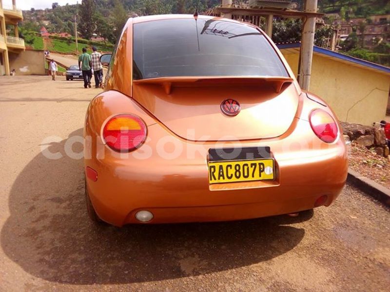 Big with watermark 29467840 10215757951520780 4231217912469258240 n