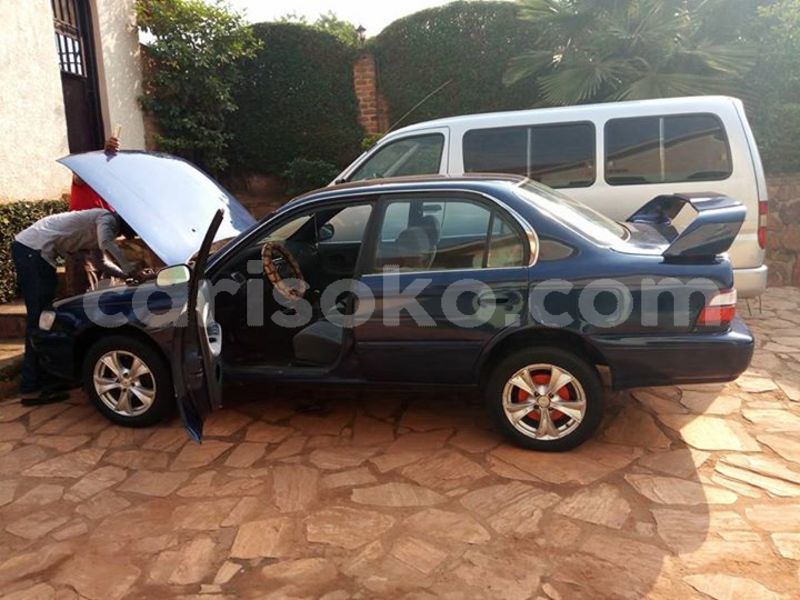 Big with watermark 24959109 1372679829509431 2290911251372580814 o