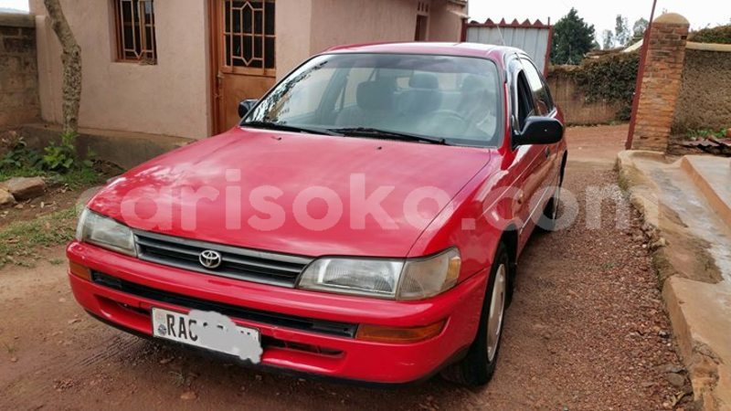 Big with watermark 24959109 1372679829509431 2290911251372580814 o