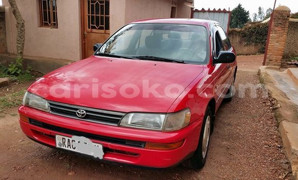 Acheter Occasion Voiture Toyota Corolla Rouge à Kigali au Rwanda Acheter Occasion Voiture Toyota Corolla Rouge à Kigali au Rwanda