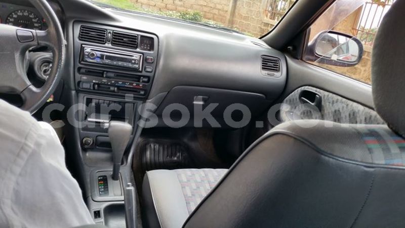 Big with watermark 25075045 1436706473124388 2663118157098388861 o