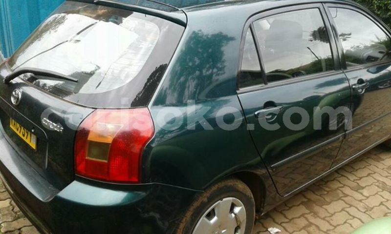 Big with watermark 25075045 1436706473124388 2663118157098388861 o