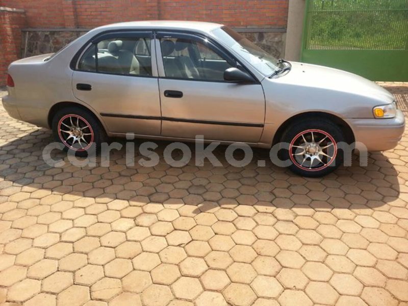 Big with watermark 24959109 1372679829509431 2290911251372580814 o