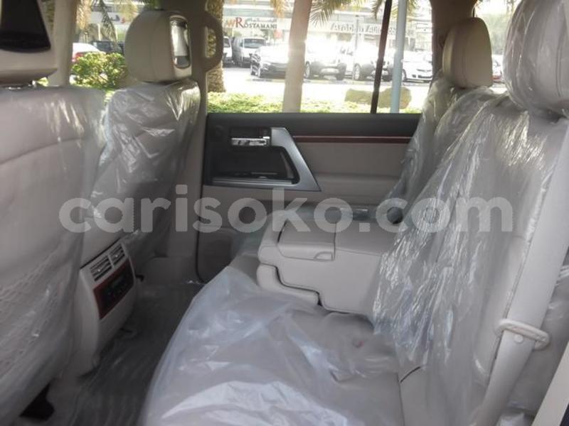 Big with watermark 7