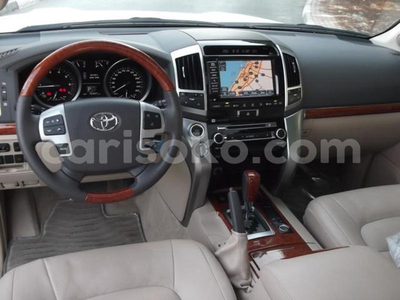 Big with watermark 9