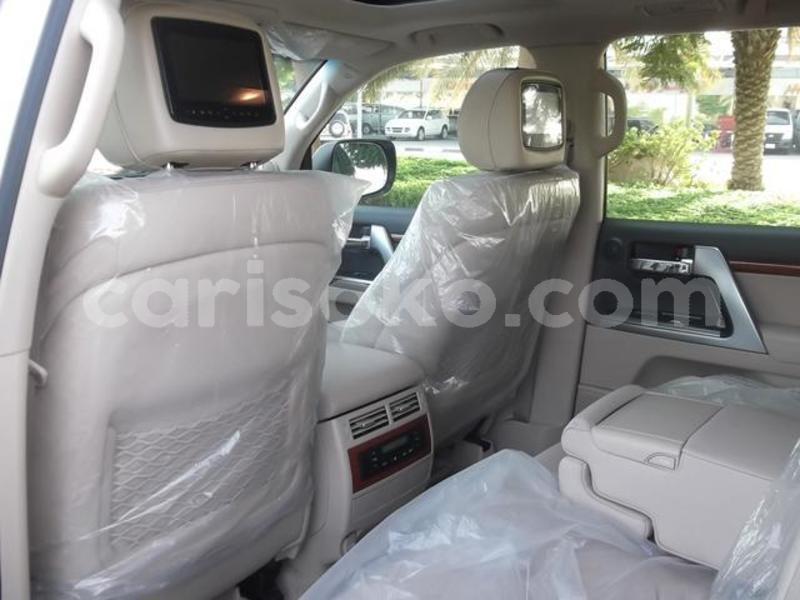 Big with watermark 11