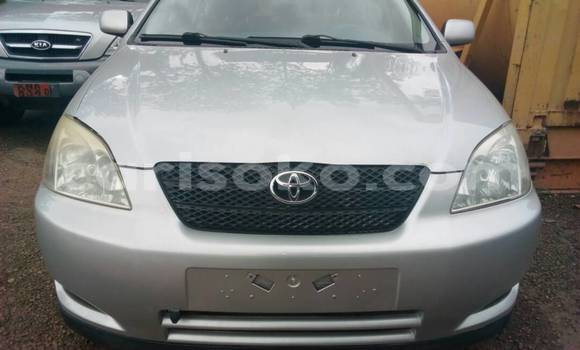 Acheter Occasion Voiture Toyota Corolla Gris à Kigali au Rwanda Acheter Occasion Voiture Toyota Corolla Gris à Kigali au Rwanda