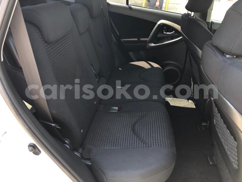 Big with watermark 21560946627420394 tx.pic