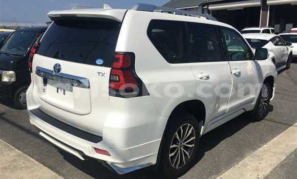 Buy Used Toyota Land Cruiser Prado White Car in Gasarenda in Rwanda Buy Used Toyota Land Cruiser Prado White Car in Gasarenda in Rwanda
