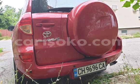 Buy Used Toyota RAV4 Red Car in Kigali in Rwanda Buy Used Toyota RAV4 Red Car in Kigali in Rwanda
