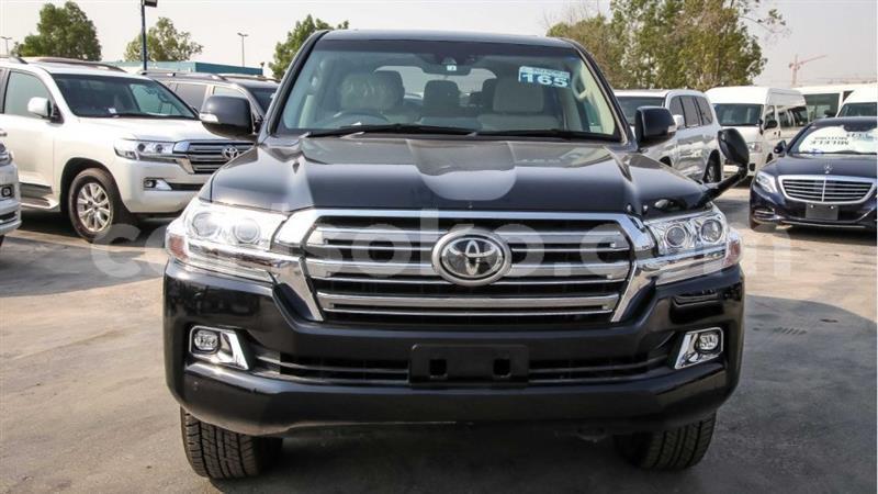 Big with watermark 2