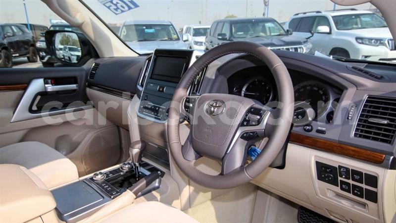 Big with watermark 5