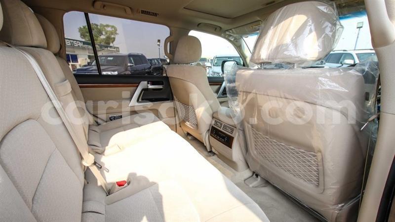 Big with watermark 7