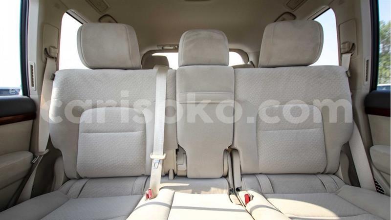 Big with watermark 8