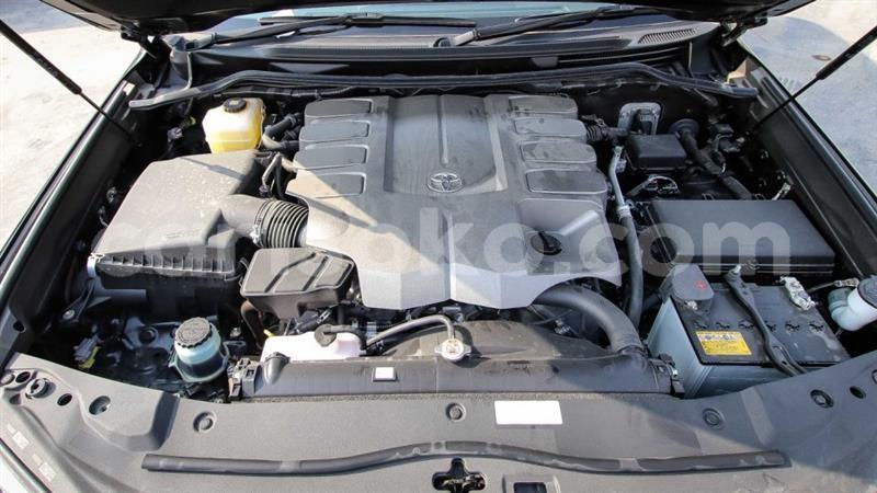 Big with watermark 12