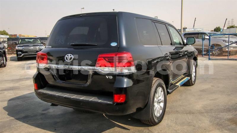 Big with watermark 13