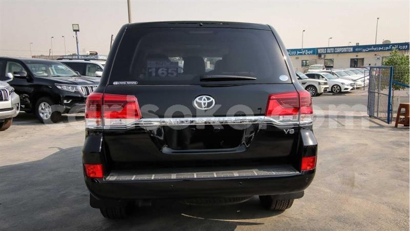 Big with watermark 14