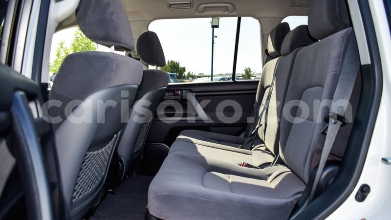 Big with watermark 7