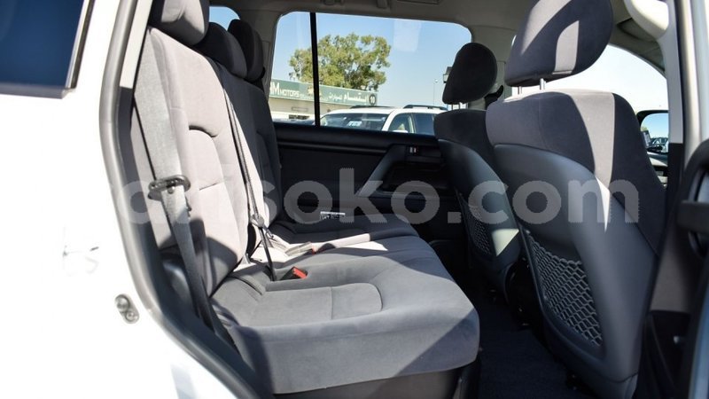 Big with watermark 8