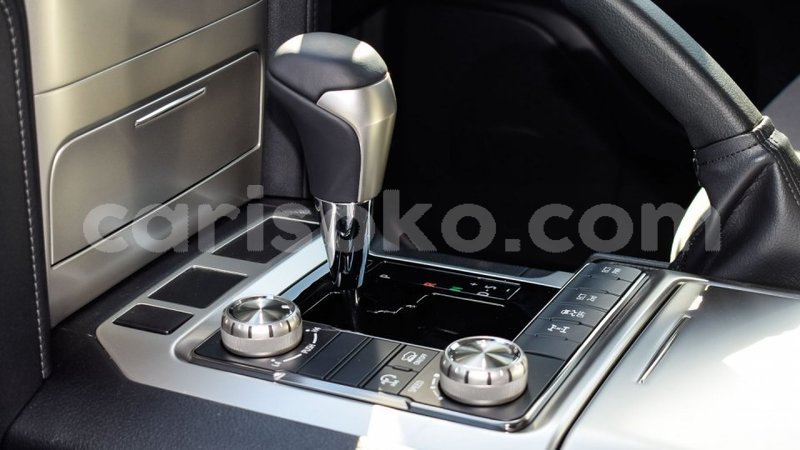 Big with watermark 11