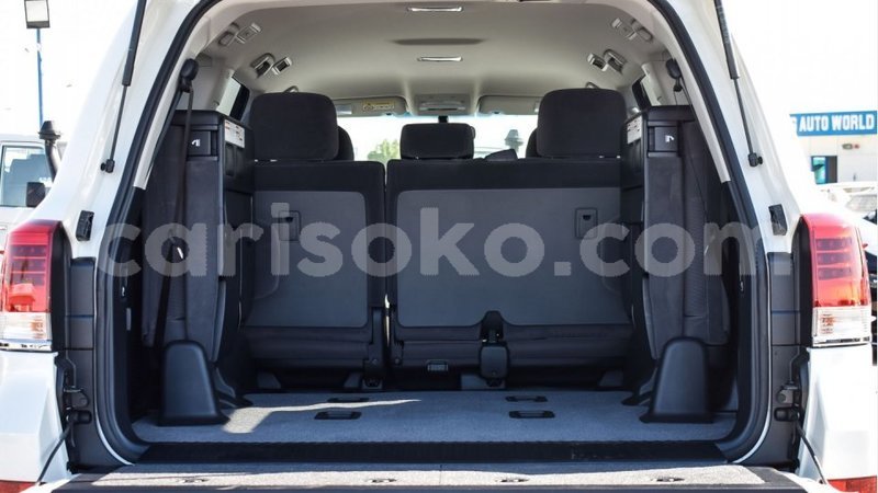 Big with watermark 13