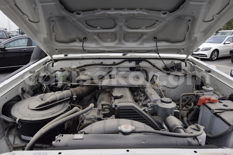 Big with watermark 8