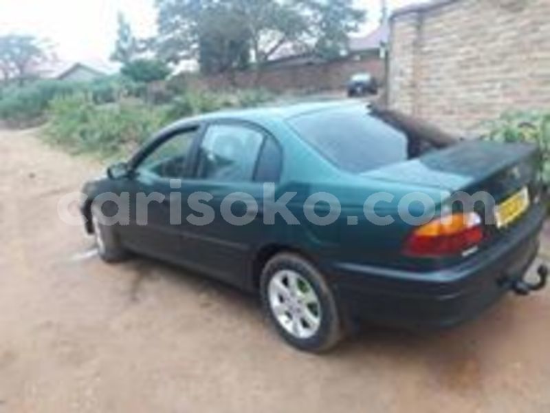 Big with watermark 67557549 238248313819420 3730986331384315904 n