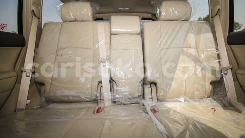 Big with watermark 7