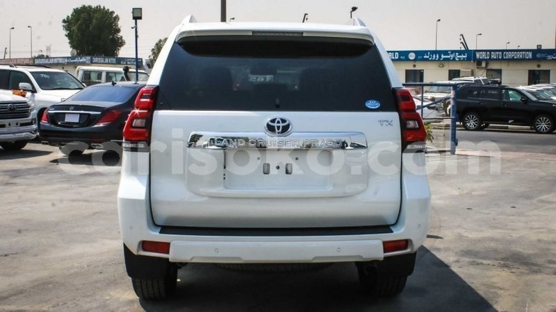 Big with watermark 13