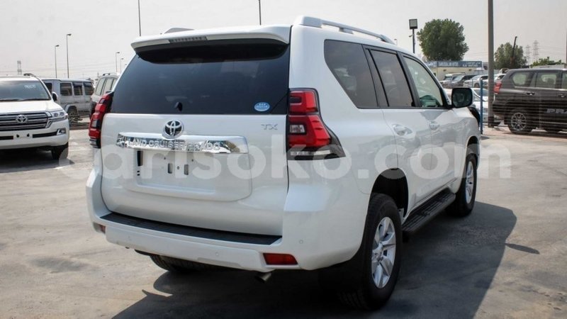 Big with watermark 14