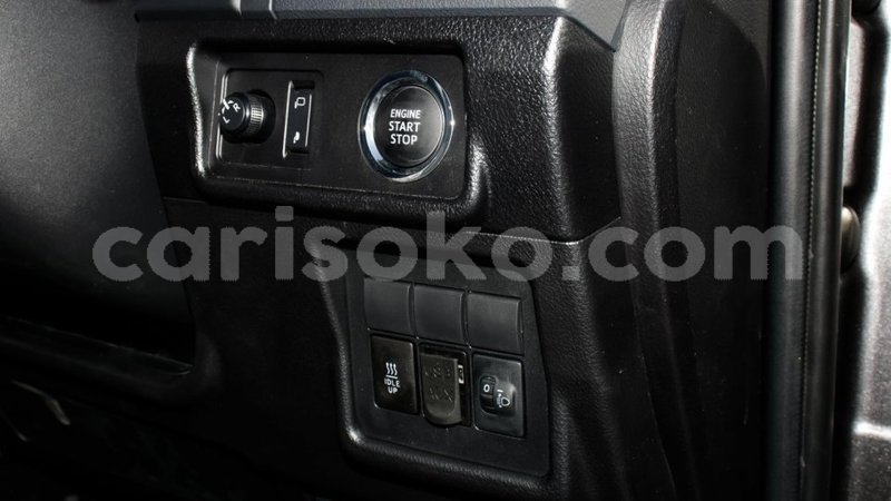 Big with watermark 8