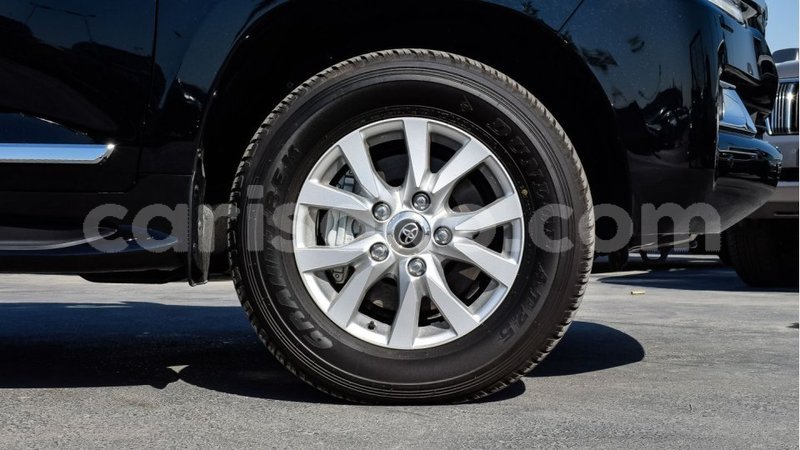 Big with watermark 16